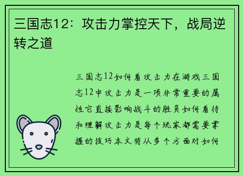 三国志12：攻击力掌控天下，战局逆转之道